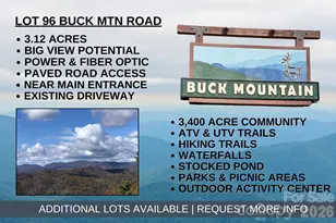 Tbd Buck Mountain Rd, Purlear, NC 28665 - Photo 1