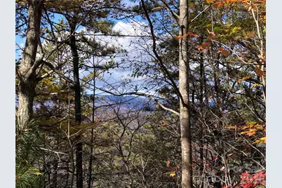 Tbd Buck Mountain Road #96, Purlear, NC 28665 - Photo 2