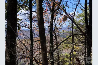 Tbd Buck Mountain Road #96, Purlear, NC 28665 - Photo 12