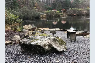 Tbd Buck Mountain Road #96, Purlear, NC 28665 - Photo 30