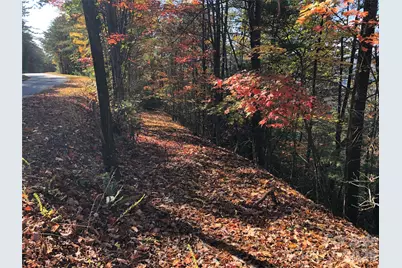 Tbd Buck Mountain Road #96, Purlear, NC 28665 - Photo 10