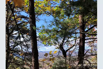 Tbd Buck Mountain Road #96, Purlear, NC 28665 - Photo 14