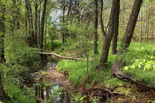 2539 Botanical Ct NW, Concord, NC 28027 - Photo 36