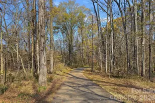 206 Meadowbrook Rd, Charlotte, NC 28211 - Photo 46