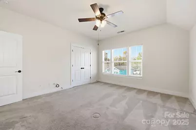 343 Spring Street, Davidson, NC 28036 - Photo 20