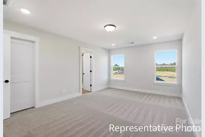 438 Blythe Townhome Lane, Waxhaw, NC 28173 - Photo 20