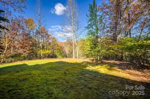 87 Prater Cove Rd, Franklin, NC 28734 - Photo 6