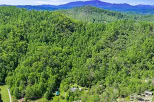 615 Fred Sparks Rd, Bakersville, NC 28705 - Photo 2