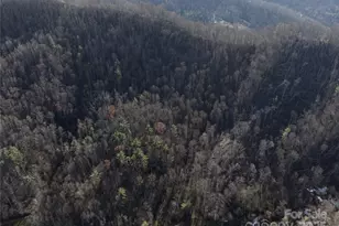 615 Fred Sparks Rd, Bakersville, NC 28705 - Photo 4