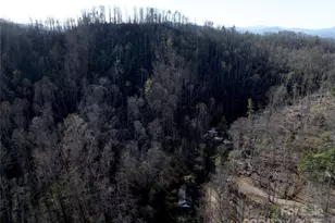 615 Fred Sparks Rd, Bakersville, NC 28705 - Photo 6