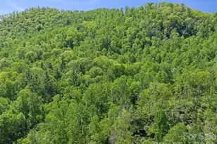 615 Fred Sparks Rd, Bakersville, NC 28705 - Photo 4