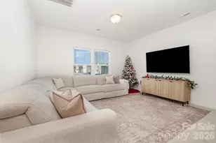 3048 Pinehills Wy., Mount Holly, NC 28120 - Photo 4