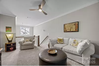 513 Sweet Birch Park Lane, Black Mountain, NC 28711 - Photo 30