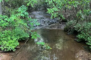 1405 Brannock Smith Dr, Hickory, NC 28602 - Photo 6