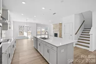 1011 WT Ferguson Dr, Matthews, NC 28104 - Photo 10