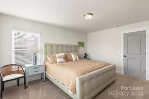 920 Blu Central Rd, Charlotte, NC 28134 - Photo 16