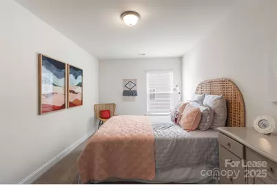 920 Blu Central Road, Charlotte, NC 28134 - Photo 20