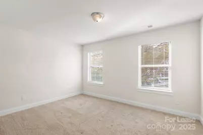 920 Blu Central Road, Charlotte, NC 28134 - Photo 18