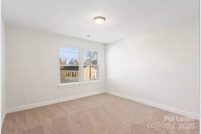 920 Blu Central Road, Charlotte, NC 28134 - Photo 18