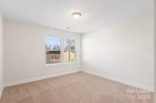 920 Blu Central Rd, Charlotte, NC 28134 - Photo 18