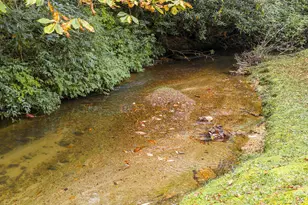 75 Hickory Dr, Highlands, NC 28741 - Photo 40