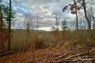 00000 High Peak Ridge, Green Mountain, NC 28740 - Photo 10