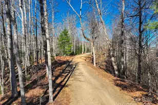 00000 High Peak Ridge, Green Mountain, NC 28740 - Photo 2