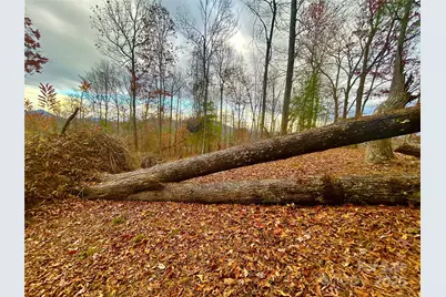 00000 High Peak Ridge #10, Green Mountain, NC 28740 - Photo 8