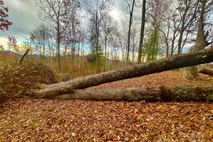 00000 High Peak Ridge, Green Mountain, NC 28740 - Photo 8