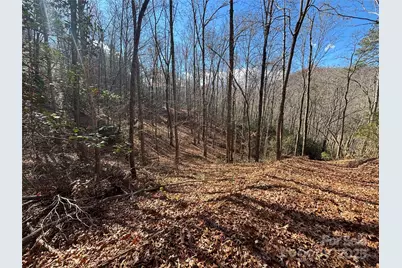 00 Barkers Creek Road, Whittier, NC 28789 - Photo 6