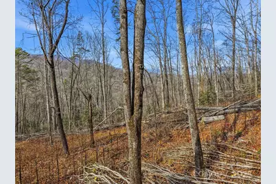 00 Barkers Creek Road, Whittier, NC 28789 - Photo 12