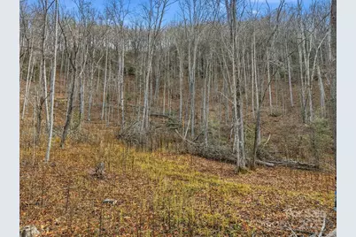 00 Barkers Creek Road, Whittier, NC 28789 - Photo 2