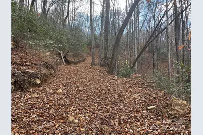 00 Barkers Creek Road, Whittier, NC 28789 - Photo 22