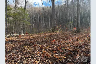 00 Barkers Creek Road, Whittier, NC 28789 - Photo 24