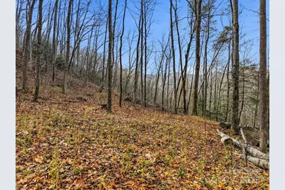 00 Barkers Creek Road, Whittier, NC 28789 - Photo 14