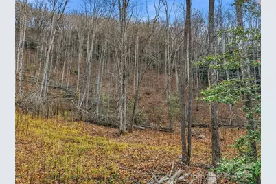 00 Barkers Creek Road, Whittier, NC 28789 - Photo 10