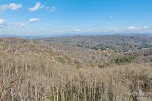 1350 Davis Mountain Rd, Hendersonville, NC 28739 - Photo 4