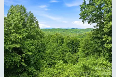 1350 Davis Mountain Road, Hendersonville, NC 28739 - Photo 48