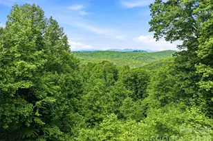 1350 Davis Mountain Rd, Hendersonville, NC 28739 - Photo 48