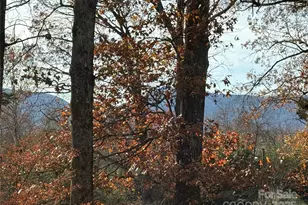 114 Broadway Ave, Tryon, NC 28782 - Photo 2