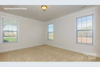 3121 Spring Iris Drive, Denver, NC 28037 - Photo 8