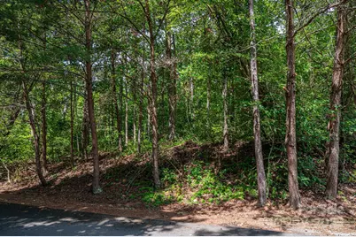 Lot 26 Line Drive, Forest City, NC 28043 - Photo 2