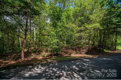 Lot 26 Line Drive, Forest City, NC 28043 - Photo 8