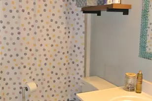 225 McDade Rd, Forest City, NC 28043 - Photo 36