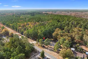 15861 Palmer Rd, Marston, NC 28363 - Photo 22