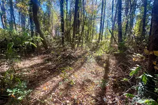 000 John Everall Rd, Lancaster, SC 29720 - Photo 1