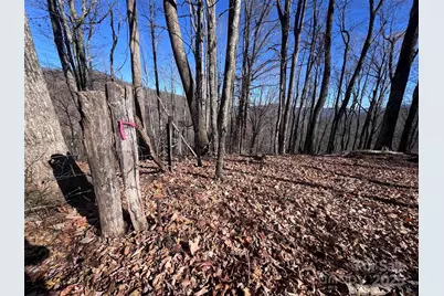 15 +/- Acres Riddle Branch Road, Burnsville, NC 28714 - Photo 24