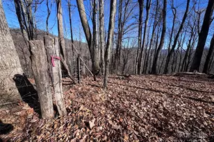 15 +/- Acres Riddle Branch Rd, Burnsville, NC 28714 - Photo 24