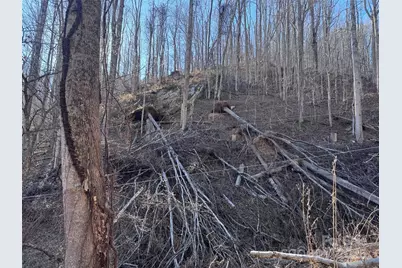 15 +/- Acres Riddle Branch Road, Burnsville, NC 28714 - Photo 22