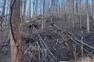 15 +/- Acres Riddle Branch Rd, Burnsville, NC 28714 - Photo 22